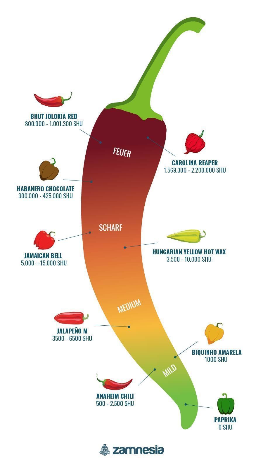 Hot Chili Pepper Fakten Der Scoville Skala SCU SHU Poster 